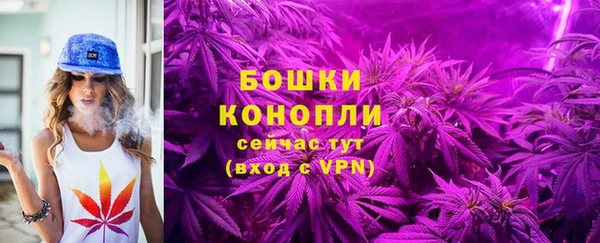стафф Краснотурьинск